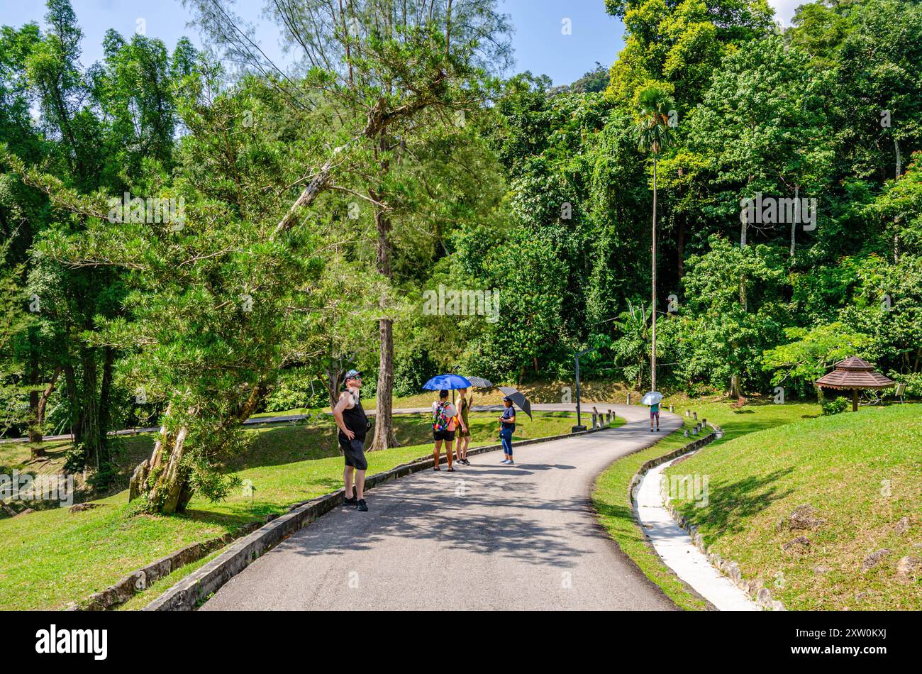Besucher spazieren auf einer Straße durch die Botanischen Gärten von Penang, Pulau Pinang, Malaysia. Stockfoto