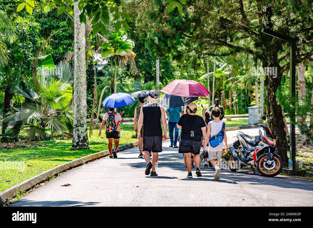 Besucher spazieren auf einer Straße durch die Botanischen Gärten von Penang in Pulau Pinang, Malaysia, und nutzen Sonnenschirme, die den Schatten der heißen Sonne schützen. Stockfoto