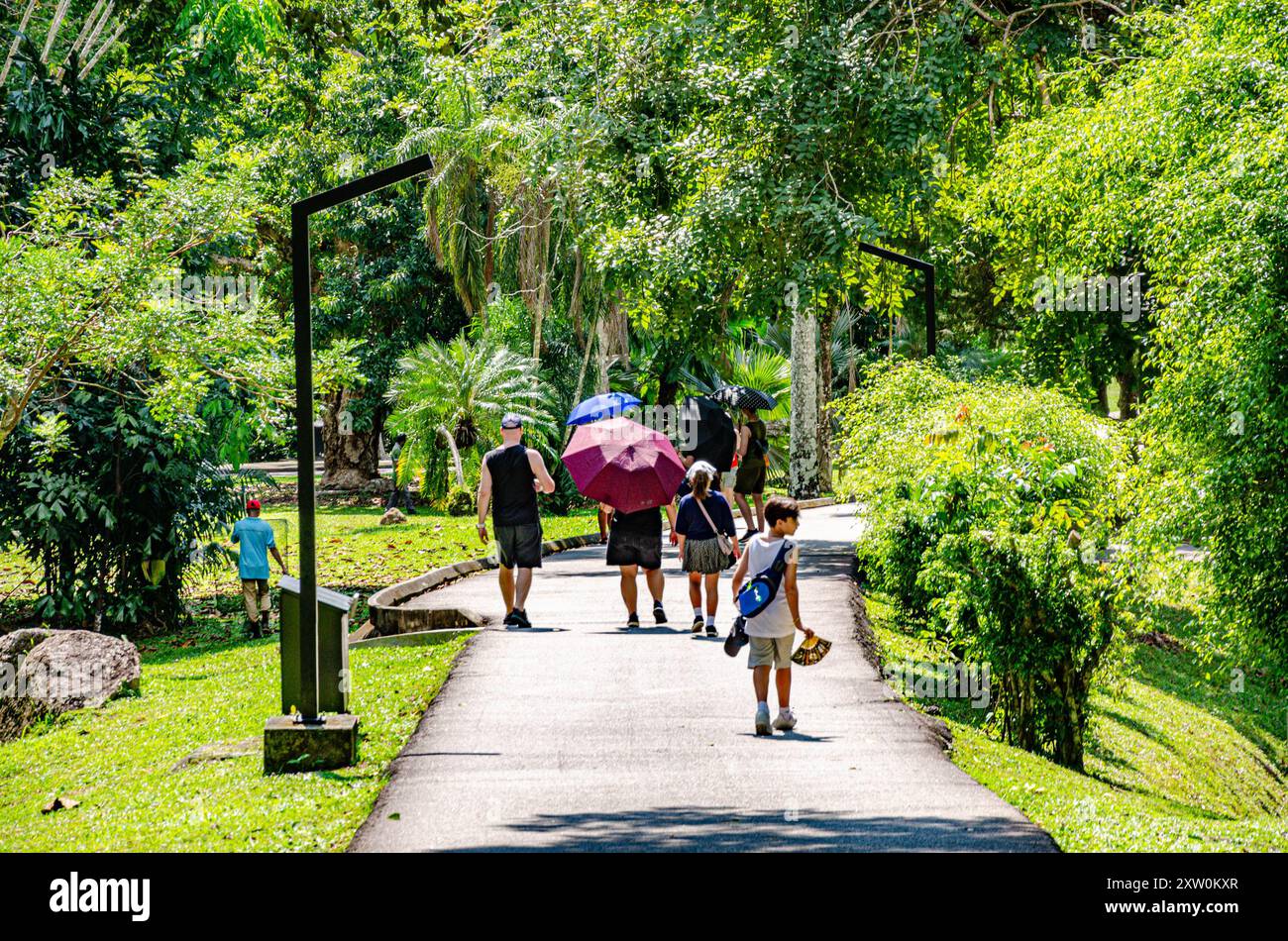 Besucher spazieren auf einer Straße durch die Botanischen Gärten von Penang in Pulau Pinang, Malaysia, und nutzen Sonnenschirme, die den Schatten der heißen Sonne schützen. Stockfoto