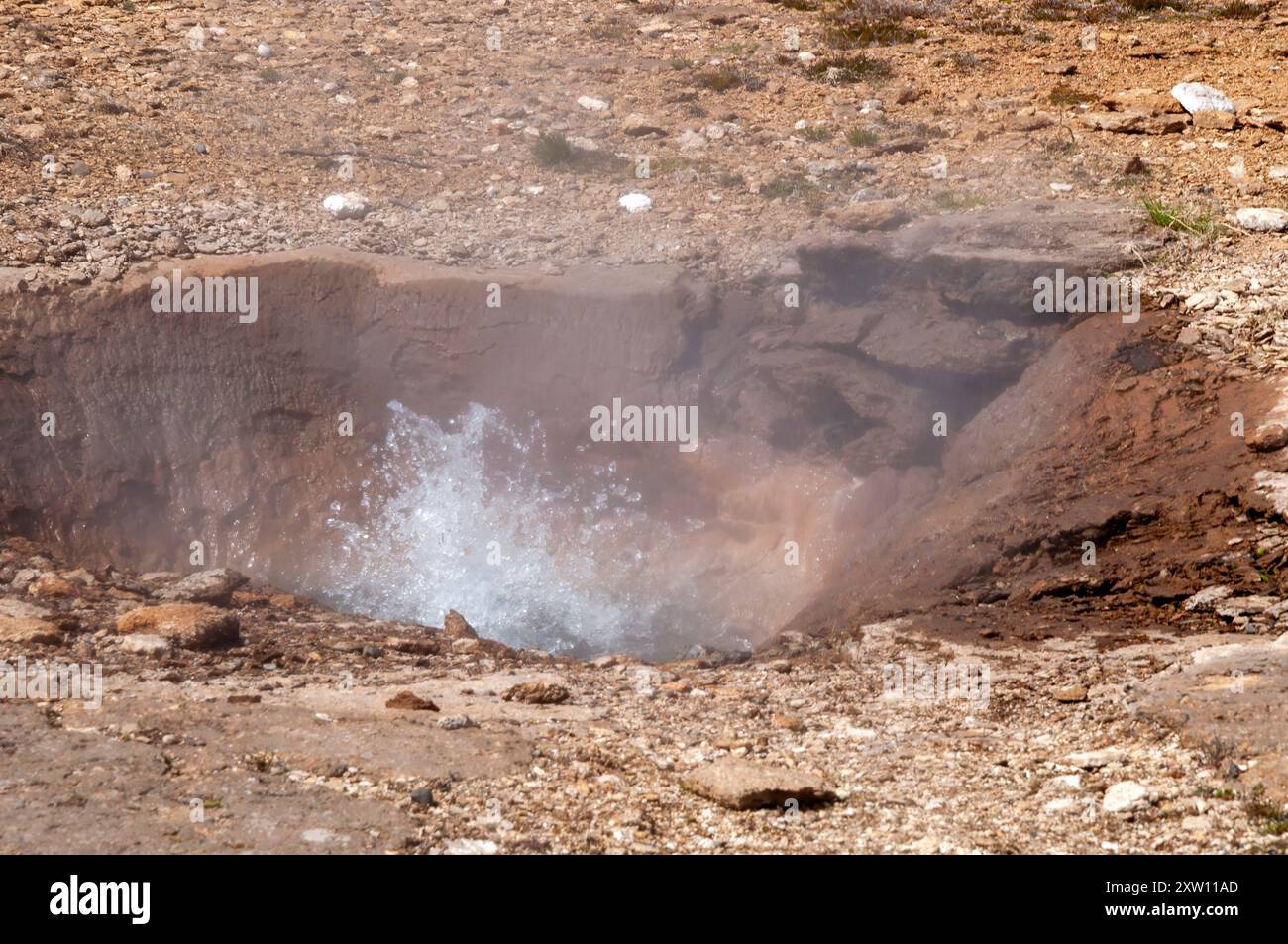 Geysir Island, Litli-Geysir schießt kochendes Wasser in die Luft. Stockfoto