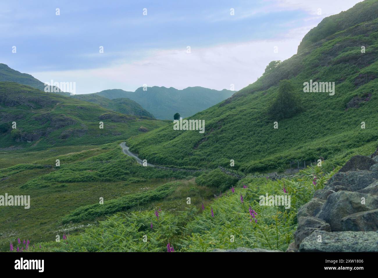 Einsamer Baum auf einer Straße im Lake District mit Bergen hinter Grasmere Stockfoto
