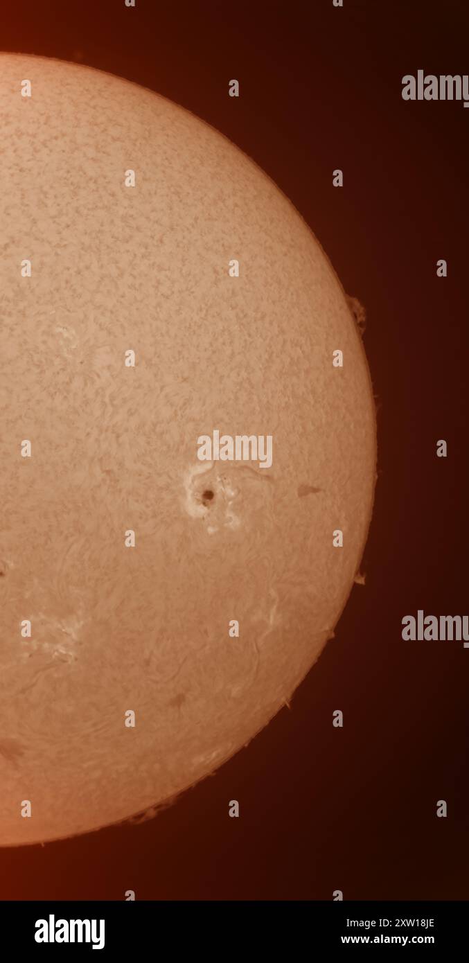 Sonnenflecken auf der Sonnenoberfläche am 17. August 2024. Das Bild wird mit dem Hydrogen Alpha-Wellenband-Solarfilter aufgenommen, um magnetische Oberflächenfelder und -Filamente klar darzustellen und detaillierte Ansichten einer großen Sonnenfleckengruppe zu erhalten. Kredit: Malcolm Park/Alamy Stockfoto