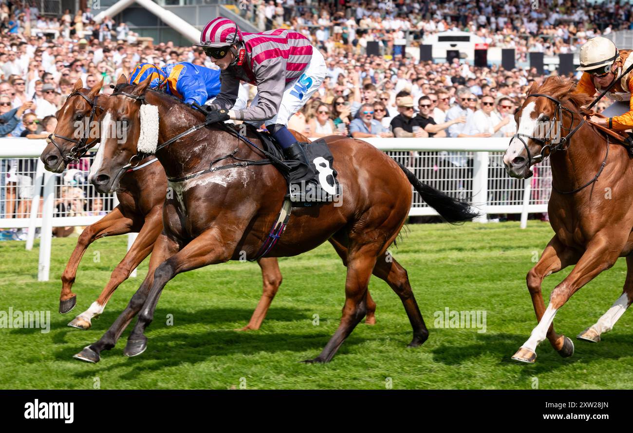 Newbury, Berkshire, Faustus und Jockey Joe Leavy gewinnen die Play the BetVictor Predictor Now Handicap Stakes für die Trainer Rachel Cook & John Bridger, die von Mr. P. Cook besessen wurden. Credit JTW equine Images / Alamy Live News. Stockfoto