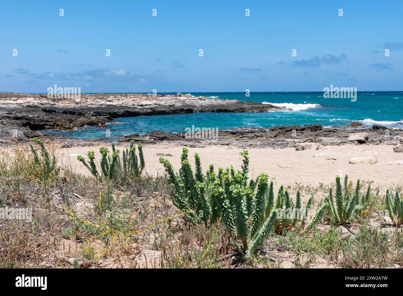 Ostuni, Costa Merlata, wo Sie zahlreiche Buchten und Strände mit kristallklarem Meer entdecken können. Stockfoto