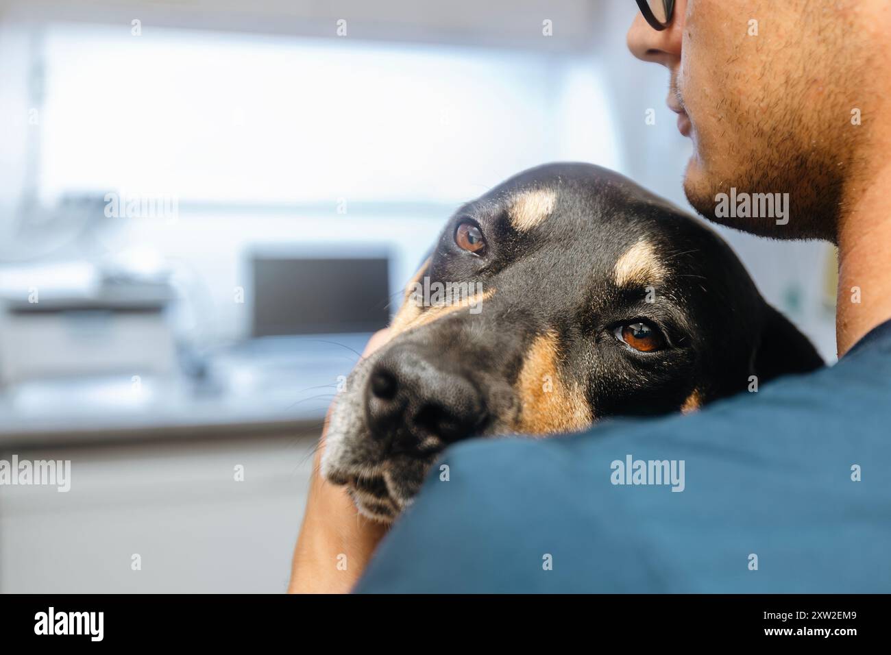 Mann umarmt kranken Hund. Selektiver Fokus auf traurigen Augen des Hundes in der Tierklinik. Stockfoto