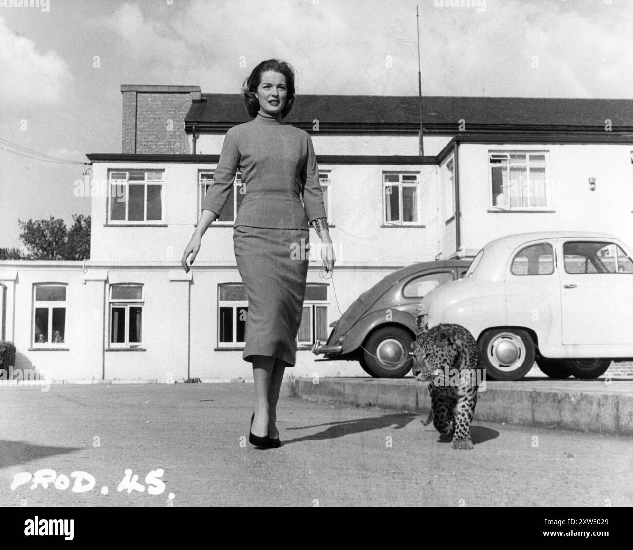BARBARA SHELLEY in einem offenen Werbefoto für CAT GIRL 1957 Regisseur ALFRED SHAUGHNESSEY Drehbuch LOU RUSOFF Insignia Films / Anglo-Amalgamated Film Distributors Stockfoto