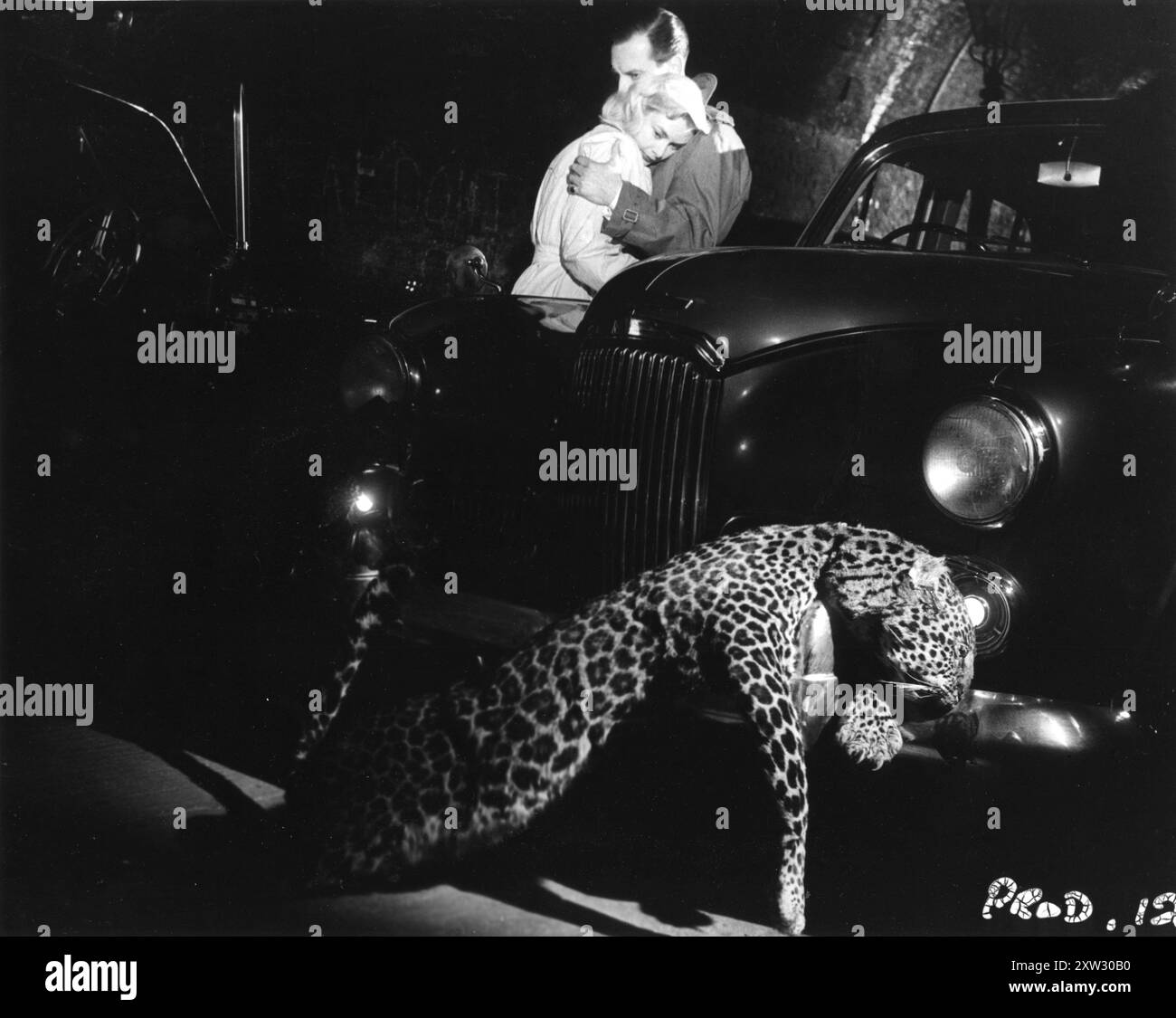 KAY CALLARD und JOHN LEE in einer Szene aus CAT GIRL 1957 Regisseur ALFRED SHAUGHNESSEY Drehbuch LOU RUSOFF Insignia Films / Anglo-Amalgamated Film Distributors Stockfoto