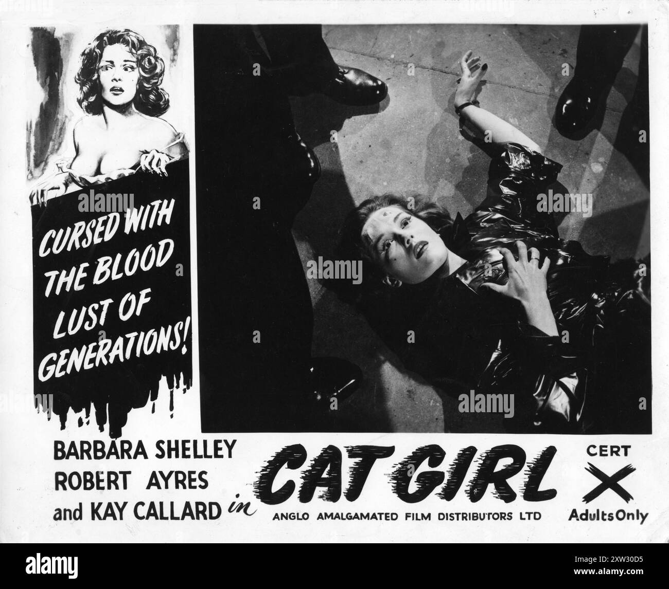 Eine britische Lobbykarte mit BARBARA SHELLEY in einer Szene aus CAT GIRL 1957 Regisseur ALFRED SHAUGHNESSEY Drehbuch LOU RUSOFF Insignia Films / Anglo-Amalgamated Film Distributors Stockfoto