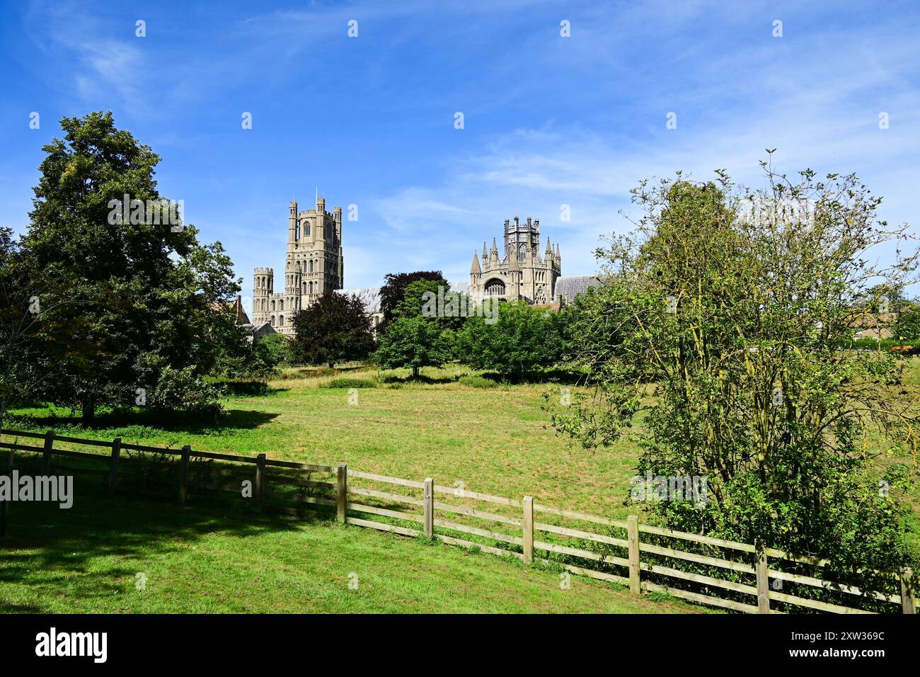 Ely Cathedral aus dem Park, Ely, Cambridgeshire, England, Großbritannien Stockfoto