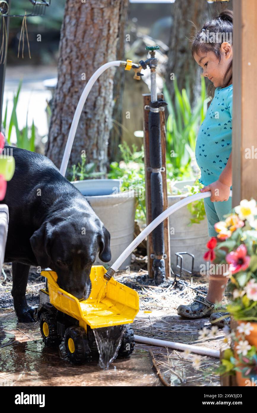 Ein Mädchen spielt dabei, einem großen Hund Wasser aus einem Schlauch zu geben, indem er einen Spielzeugwagen als Wasserschüssel benutzt. Stockfoto