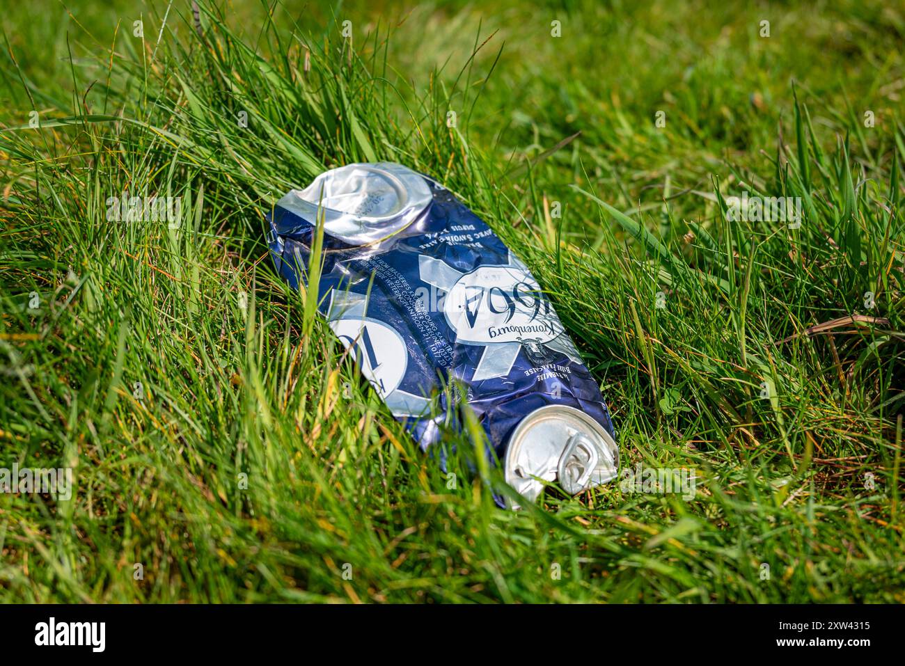 Getränkedose - Arundel Park, SDNP, West Sussex, Großbritannien. Stockfoto