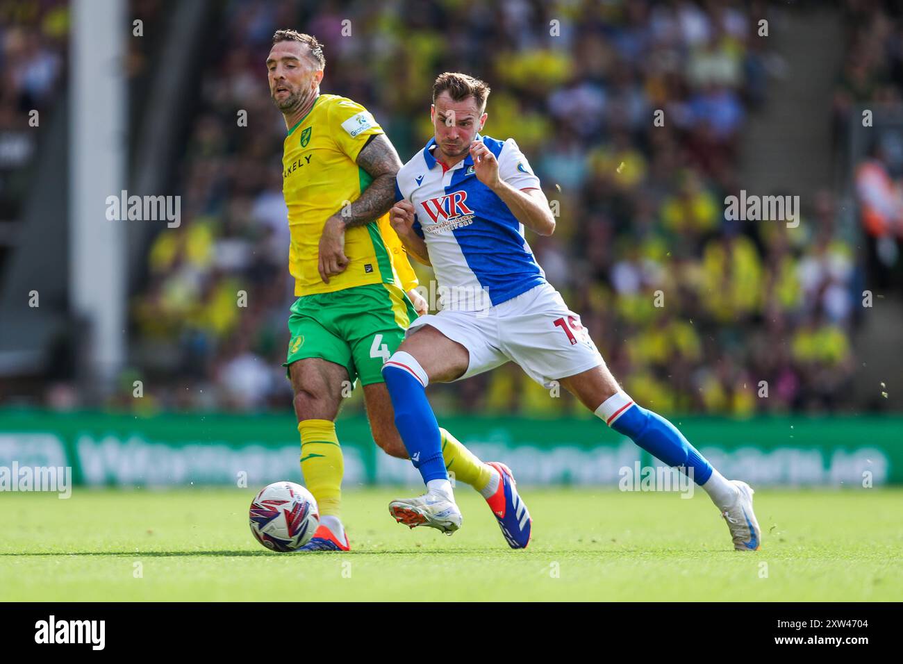 Shane Duffy aus Norwich City wird von Ryan Hedges von Blackburn Rovers während des Sky Bet Championship Matches Norwich City gegen Blackburn Rovers in Carrow Road, Norwich, Vereinigtes Königreich, 17. August 2024 unter Druck gesetzt (Foto: Izzy Poles/News Images) Stockfoto
