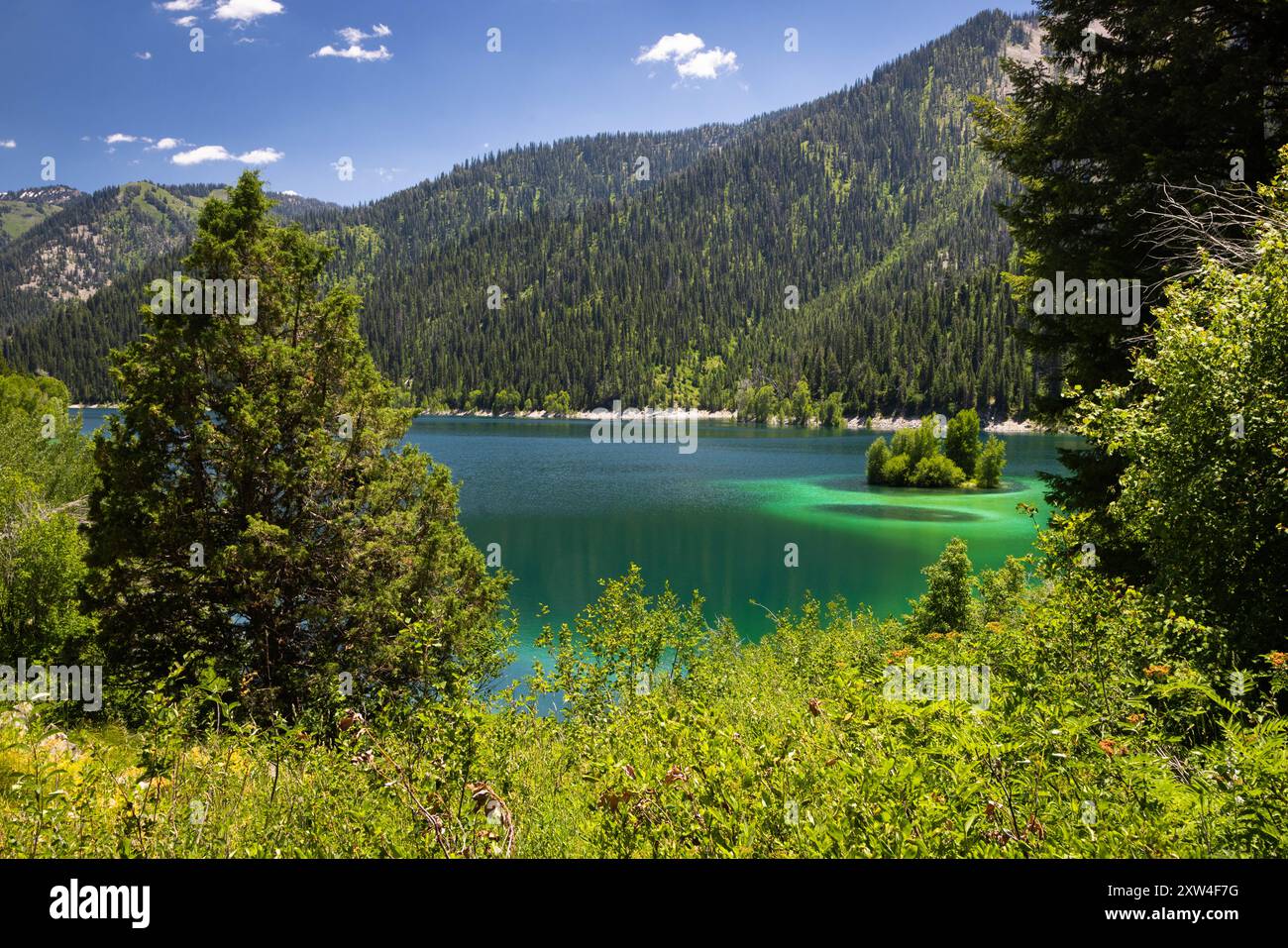 Die Snake River Mountains rund um den Upper Palisades Lake. Caribou-Targhee National Forest, Idaho Stockfoto