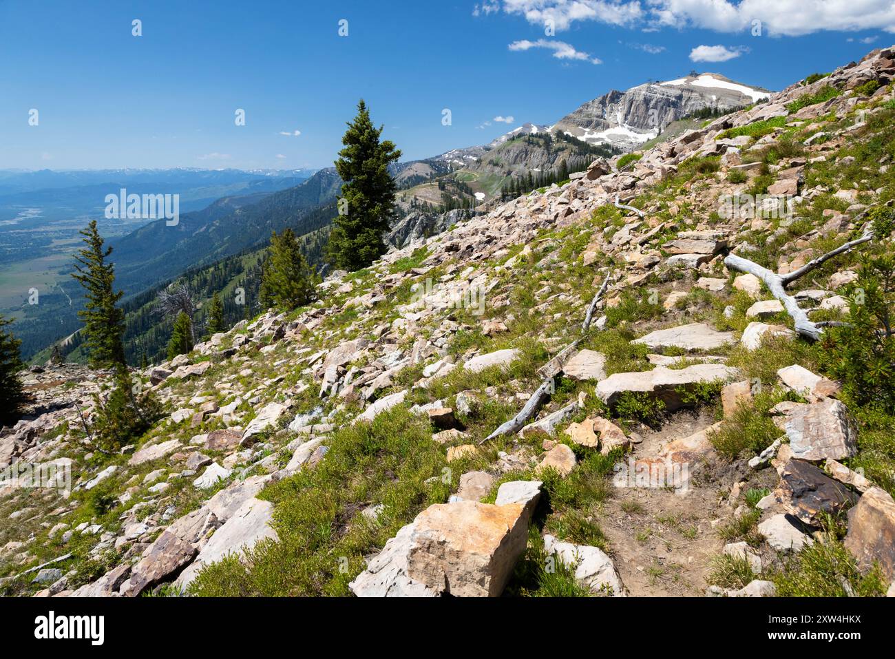 Die Jackson Hole Mountain Resort Tram auf dem Rendezvous Mountain, die sich hinter dem Holey Moley Trail erhebt. Bridger-Teton National Forest, Wyoming Stockfoto