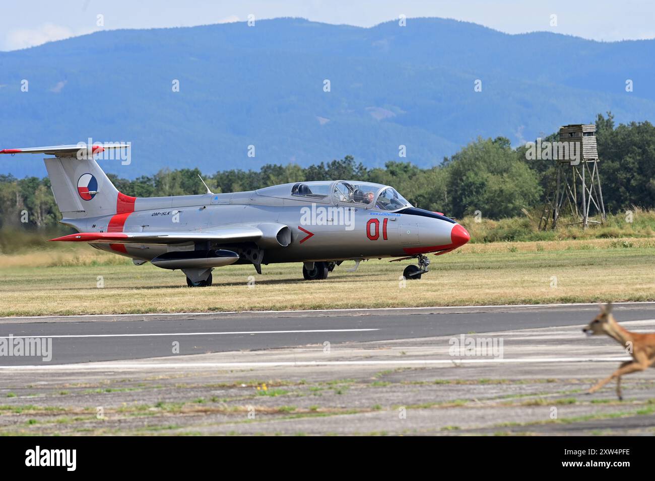 Cheb, Tschechische Republik. August 2024. Aero L-29 Delfin beim Flugtag in Cheb, Tschechische Republik, 17. August 2024. Quelle: Slavomir Kubes/CTK Photo/Alamy Live News Stockfoto