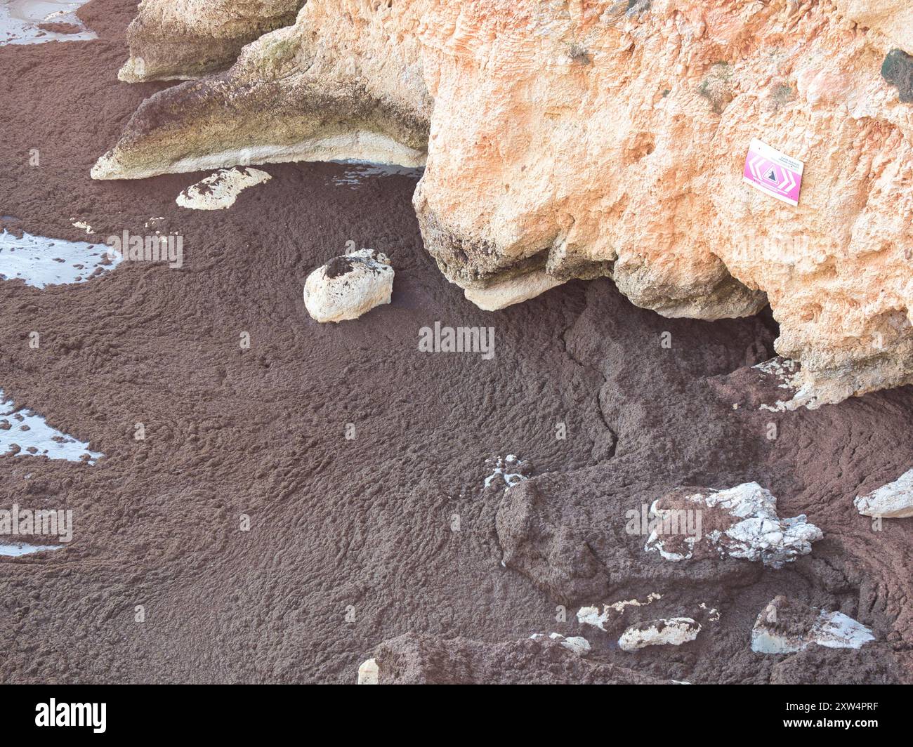 Sand- und Algeninvasion an einem ruhigen Strand in der algarve. Globale Erwärmung und Klimawandel. Stockfoto