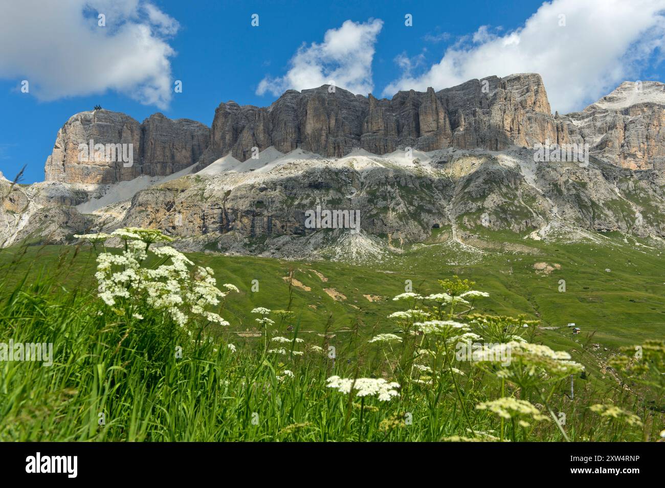 Sella-Massiv mit Sass Pordoi links und Piz Boé rechts, Pordoi Pass, Südtirol, Trentino-Südtirol, Italien Stockfoto