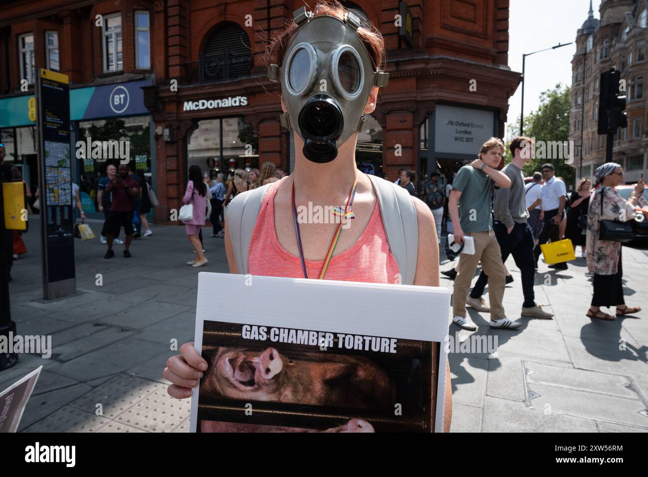 London, Großbritannien. August 2024. Eine Frau steht vor McDonald's Burger Shop in der Oxford Street, trägt eine Gasmaske und hält ein Plakat, das Schweine in einer „Gaskammer“ zeigt, während die Tierrechtsaktivisten den jährlichen National Animal Rights march vom Marble Arch zum Parliament Square veranstalten. Förderung des Tierschutzes, Bekämpfung der Ausbeutung von Tieren und Grausamkeit aus ethischen und ökologischen Gründen forderten die Demonstranten ein pflanzliches Lebensmittelsystem. Quelle: Ron Fassbender/Alamy Live News Stockfoto