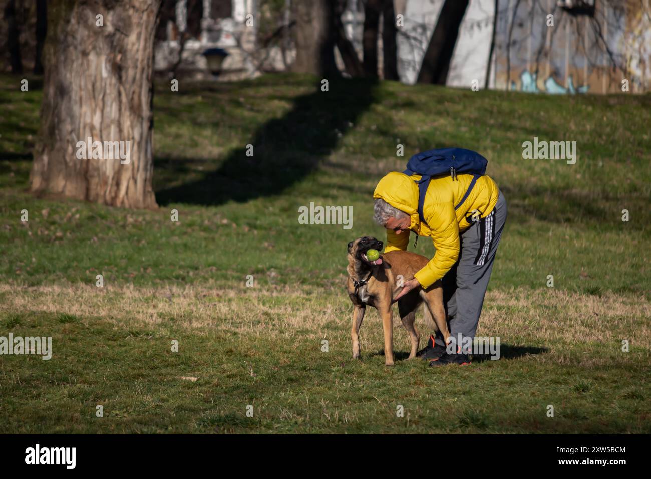 Ein Mann in einer gelben Jacke spielt mit seinem Hund in der Natur den Ball und genießt einen energiegeladenen und verspielten Moment in der Natur Stockfoto