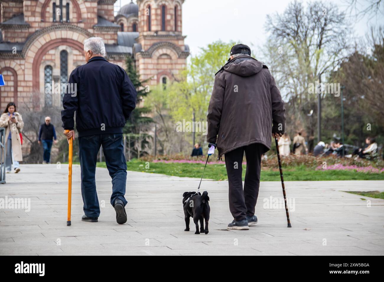 Zwei ältere Senioren spazieren in einem Park mit Stangen, einer begleitet von einem Hund, mit der Markuskirche in Belgrad als malerischer Kulisse Stockfoto