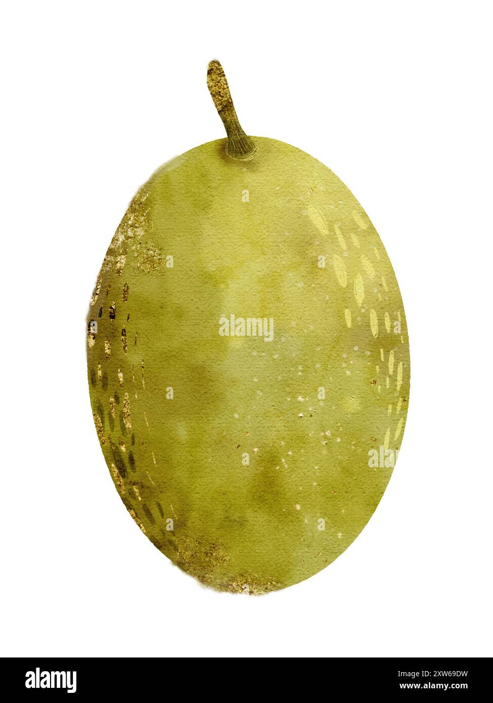 Eine aufwändig illustrierte Melone, die ihre einzigartige und lebendige Textur und ihre Farbe auf wunderschöne Weise zeigt. Isoliertes Objekt auf weißem Hintergrund für die Gestaltung einer Broschüre, eines Flyers, eines E-Pakets, eines Etiketts oder einer Werbung. Digitale Kunst im Aquarellstil. Stockfoto