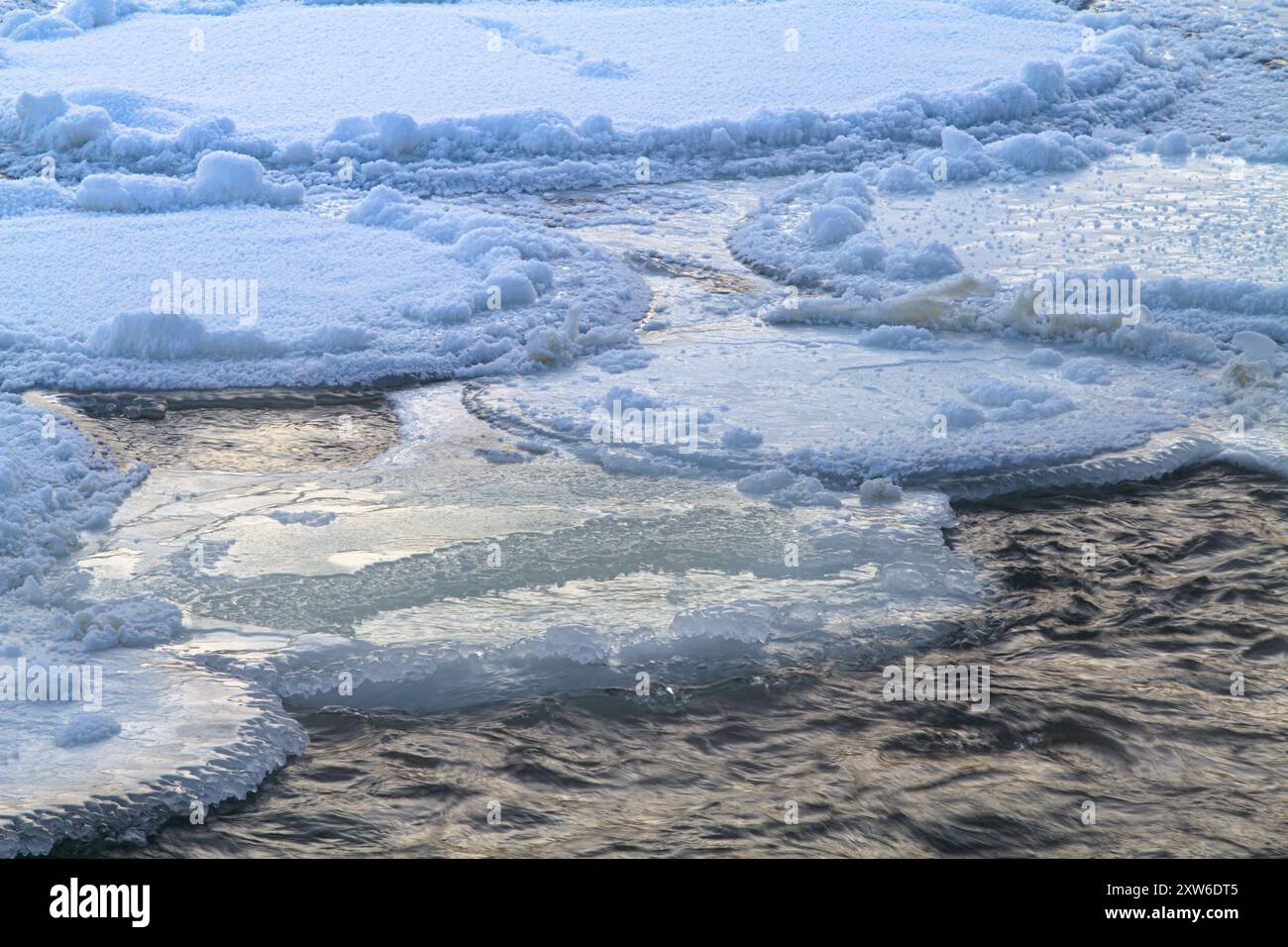 Ein paar Auswaschungen zwischen den gefrorenen runden Eisschollen (Pfannkucheneis) am nördlichen Fluss an einem frostigen Morgen Stockfoto