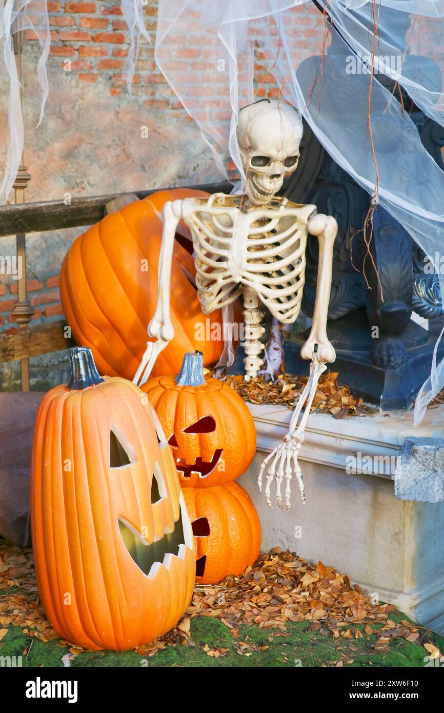 Halloween-Dekoration mit einem Haufen Jack-O'-Laterne Kürbisse und Skelett im Garten Stockfoto