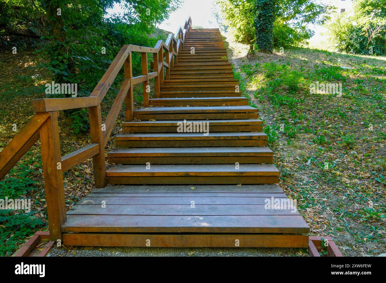 Holztreppen zum Wald Stockfoto