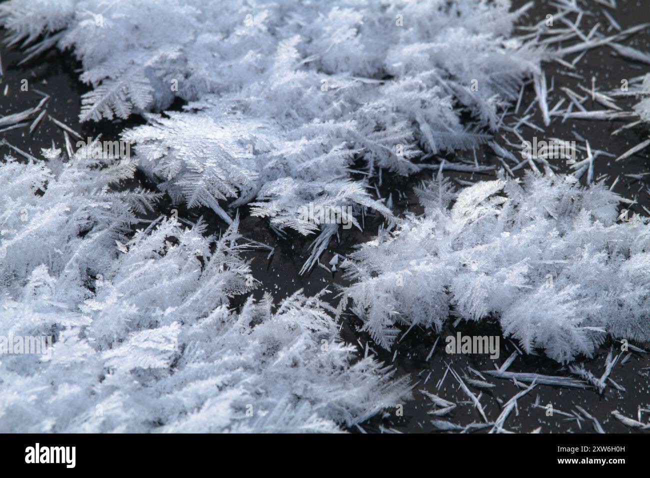 Durchbrochene Eiskristalle wuchsen auf dem dunklen Flusseis in der bitteren Kälte Stockfoto