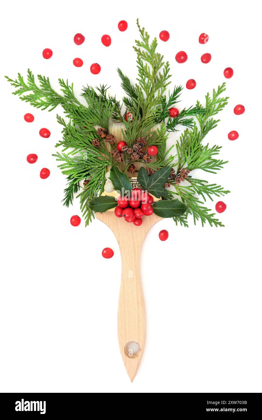 thuja smaragd 175-200 cm Thuja occidentalis 'Smaragd' Konifere (Lebensbaum) | 175-200 cm Im Topf