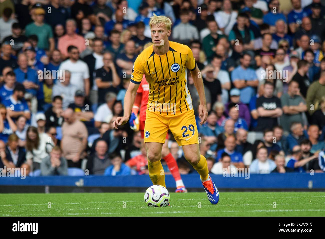 Liverpool, Großbritannien. August 2024. Brighton und Hove Albion Verteidiger Jan Paul van Hecke (29) während des Spiels Everton FC gegen Brighton & Hove Albion FC English Premier League im Goodison Park, Liverpool, England, Großbritannien am 17. August 2024 Credit: Every Second Media/Alamy Live News Stockfoto