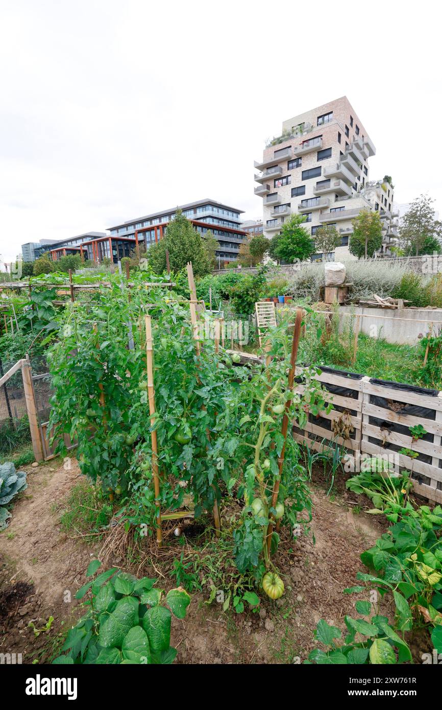 SAINT-OUEN-SUR-SEINE Stockfoto