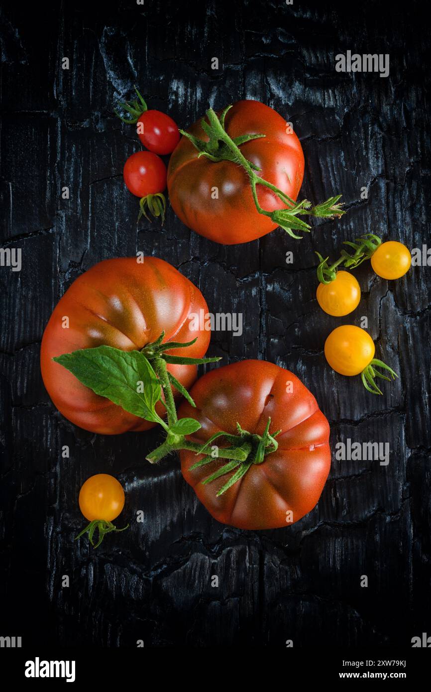 große und kleine Tomaten Stockfoto