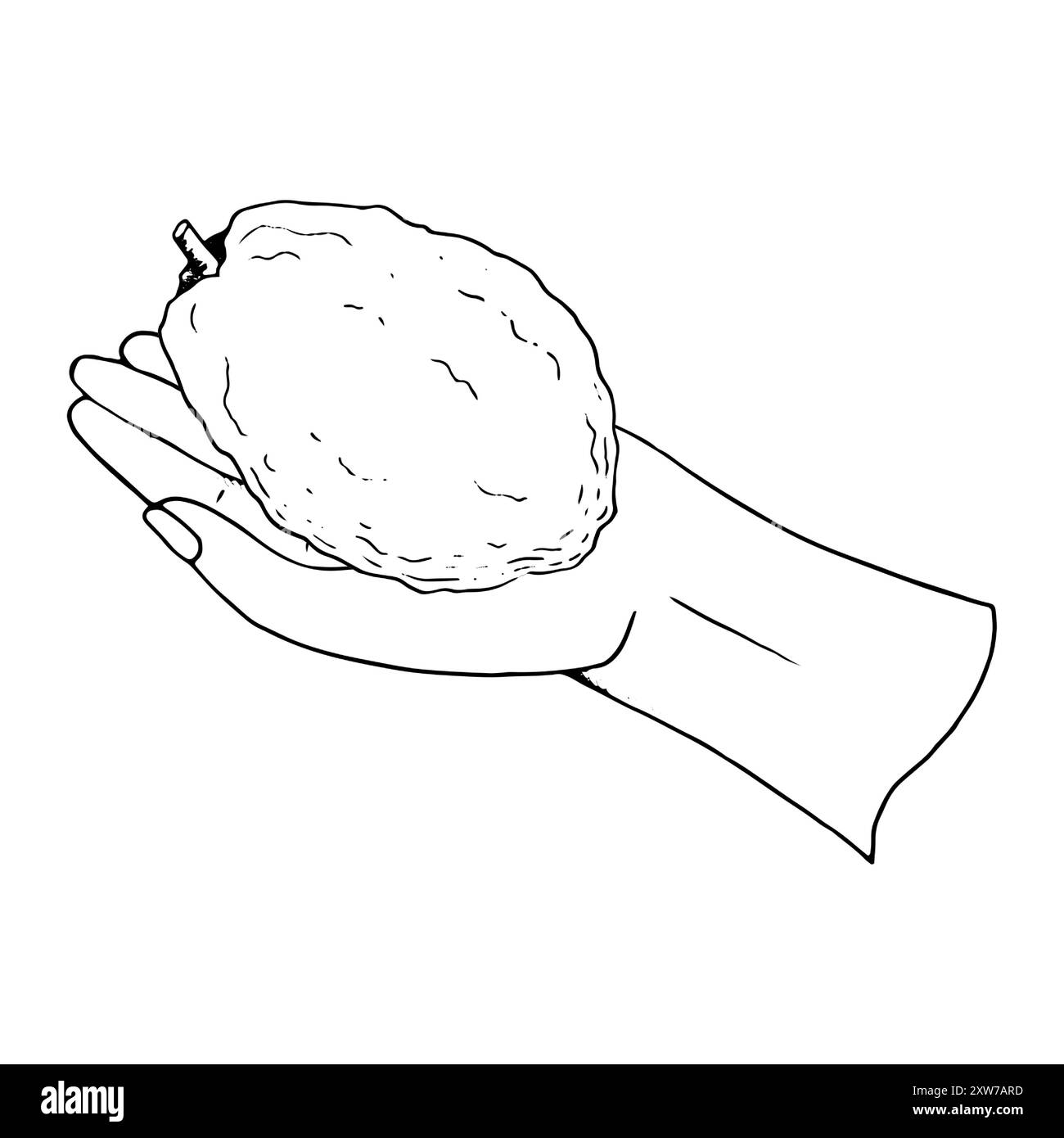 Linie Sukkot etrog Frucht in der Hand für jüdische Feiertage Stock Vektor