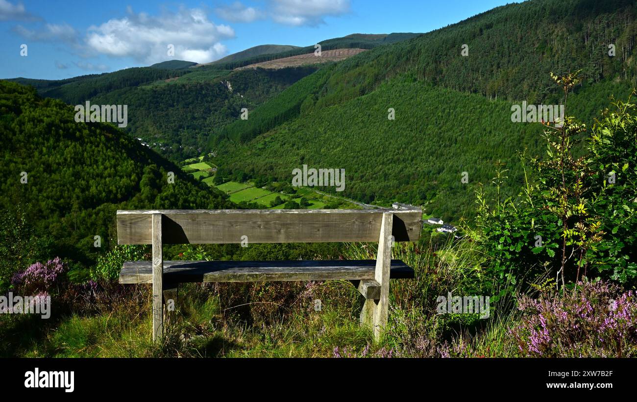 Dyfi Forest - Foel Friog Walking Route und Teil des National Forest for Wales Network mit Pen y Bryn Hill mit Blick auf Cader Idris und Dulas. Stockfoto