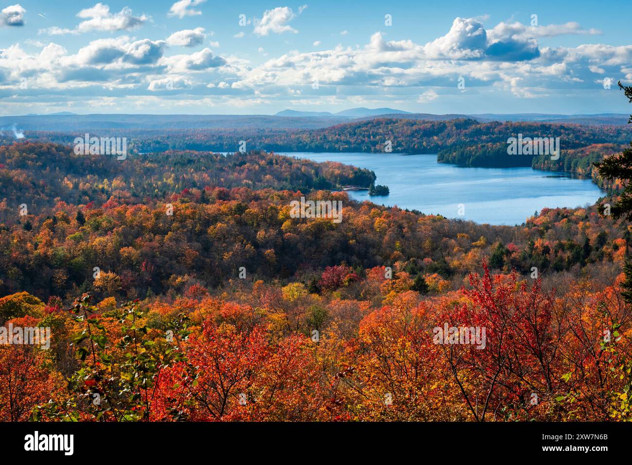 Herbstlaub im Mount Orford Nationalpark Stockfoto