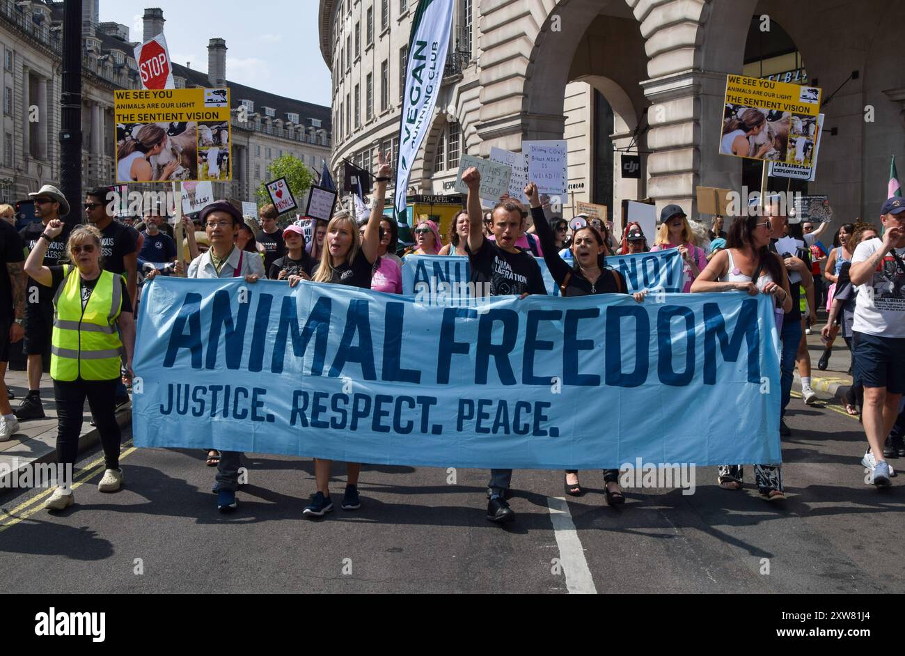 London, Großbritannien. August 2024. Während des National Animal Rights March im Zentrum Londons passieren Demonstranten die Regent Street. Der jährliche Protest hebt das Leiden und den Tod von Milliarden von Tieren in allen Bereichen menschlichen Handelns hervor, kämpft für die Tierbefreiung und für ein Ende der Tierausbeutung und fördert Veganismus und einen grausamen Lebensstil. Quelle: Vuk Valcic/Alamy Live News Stockfoto