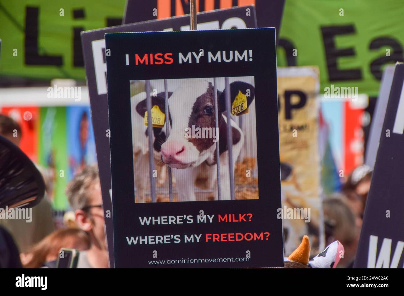 London, Großbritannien. August 2024. Während des National Animal Rights March im Zentrum Londons passieren Demonstranten die Oxford Street. Der jährliche Protest hebt das Leiden und den Tod von Milliarden von Tieren in allen Bereichen menschlichen Handelns hervor, kämpft für die Tierbefreiung und für ein Ende der Tierausbeutung und fördert Veganismus und einen grausamen Lebensstil. Quelle: Vuk Valcic/Alamy Live News Stockfoto