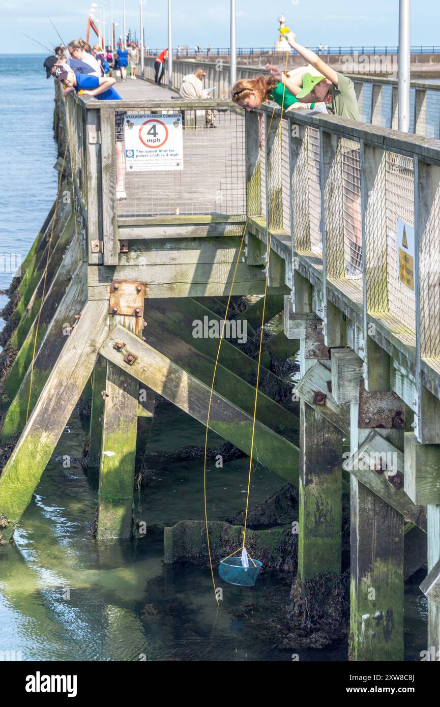 Kinderkrabbenfischen vom Pier in Amble, Northumberland, England Stockfoto