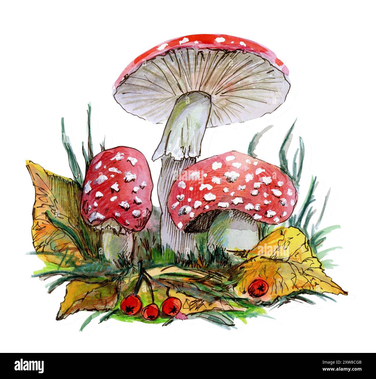 Fliegen Sie Agaren Pilze unterschiedlicher Größe mit Blättern, Gras, Zweigen und Beeren. Herbstkomposition. Ein Waldmotiv. Aquarellabbildung Stockfoto