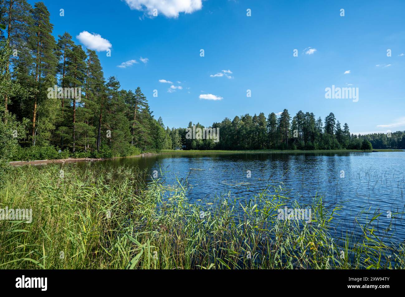 Typischer finnischer See im Sommer an einem sonnigen Tag Stockfoto