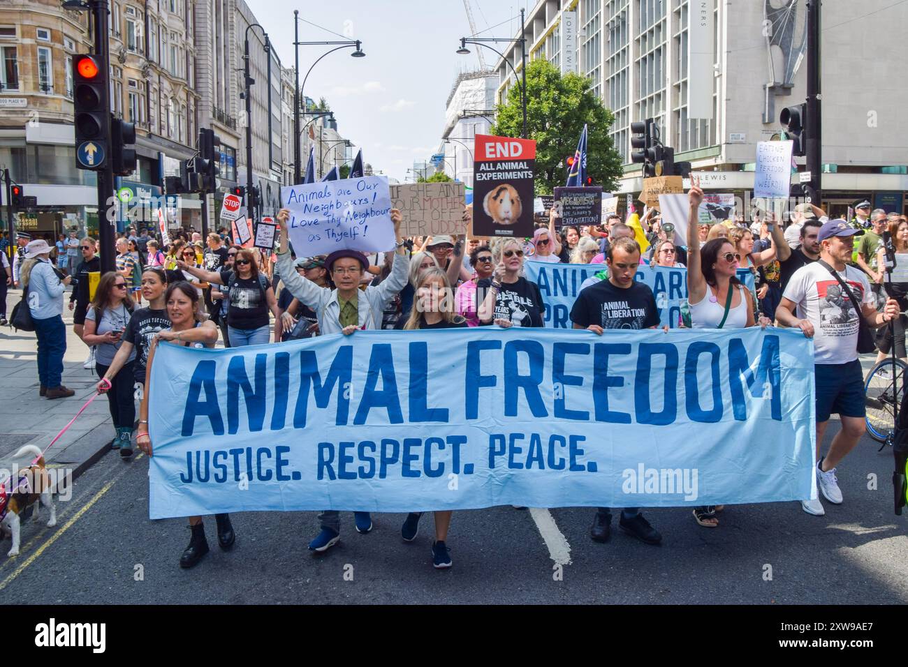 London, Großbritannien. August 2024. Während des National Animal Rights March im Zentrum Londons passieren Demonstranten die Oxford Street. Der jährliche Protest hebt das Leiden und den Tod von Milliarden von Tieren in allen Bereichen menschlichen Handelns hervor, kämpft für die Tierbefreiung und für ein Ende der Tierausbeutung und fördert Veganismus und einen grausamen Lebensstil. Quelle: Vuk Valcic/Alamy Live News Stockfoto