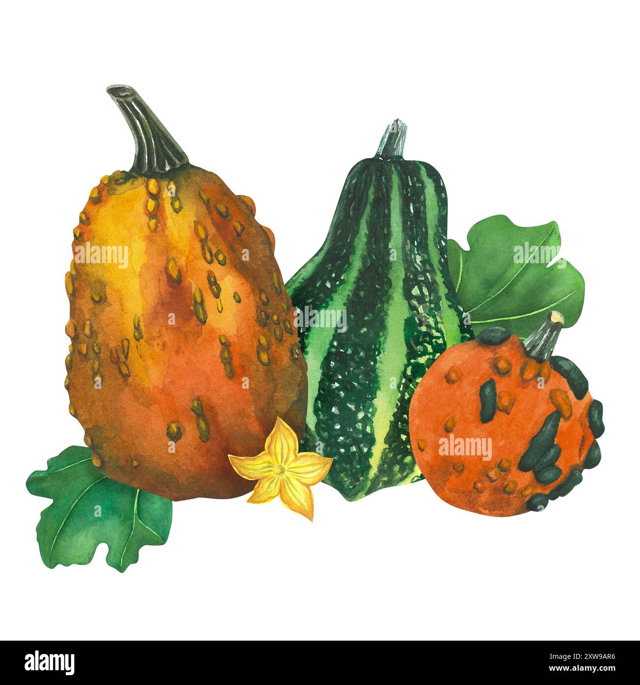 Kürbiszusammensetzung. Aquarellabbildung. Handgezeichnetes Aquarellgemälde auf weißem Hintergrund. Happy Thanksgiving Pumpkins Stockfoto