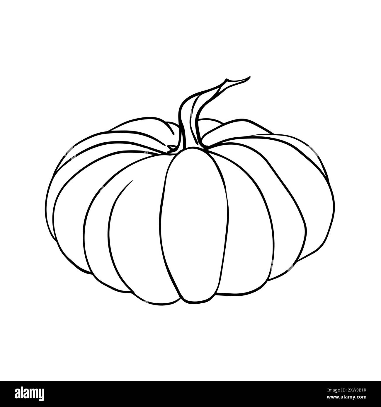 Kürbisvektor. Grafische Abbildung mit schwarzer Tinte. Lineare Zeichnung Herbstgemüse auf isoliertem Hintergrund. Gravur für Designs Herbst Stock Vektor