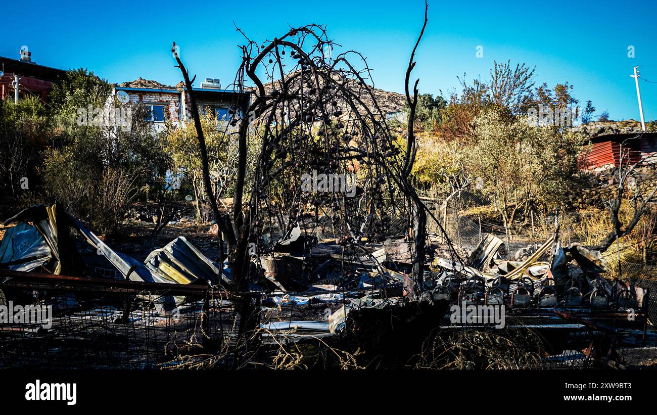 Das am 15. August auf dem Yamanlar in Izmir ausgebrochene Waldfeuer breitete sich aufgrund des Windes über ein weites Gebiet aus. Der Brand betraf auch Wohn- und Industriebereiche. 17 Häuser wurden bei dem Brand verbrannt, 105 Häuser wurden evakuiert. 44 Arbeitsplätze wurden ebenfalls evakuiert. Der Brand, der die Evakuierung von 3 Stadtteilen verursachte, betraf eine Fläche von ​​approximately 1600 Hektar. Während es bei dem Feuer keinen Menschenleben gab, starben einige Tiere in den Dörfern. Das Waldfeuer in Izmir Yamanlar wurde unter Kontrolle gebracht und gelöscht. Stockfoto