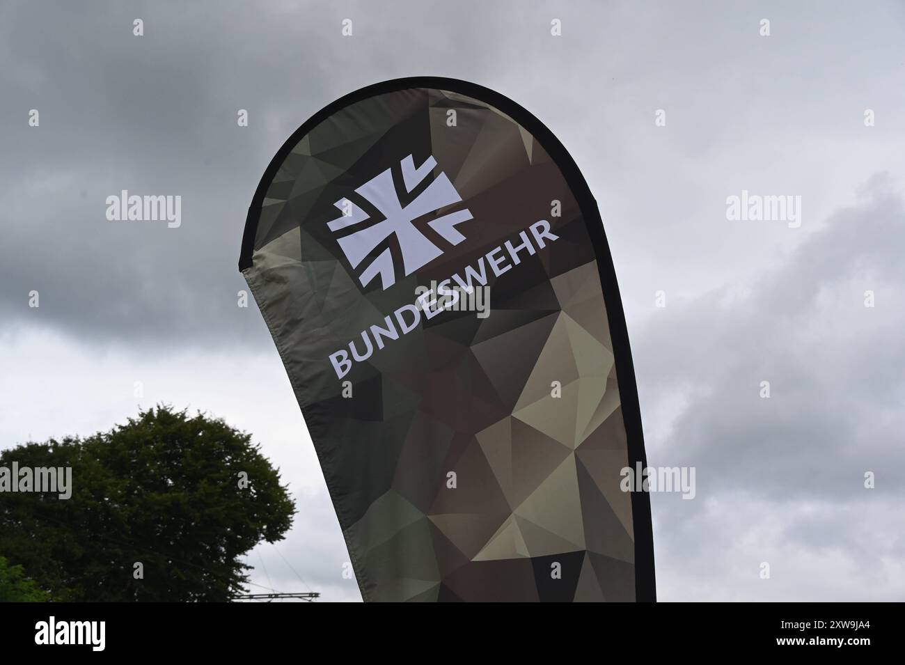 Tätigkeitsabzeichen Der Bundeswehr, Flecktarn Mit  Produktbild-Vorschau 13