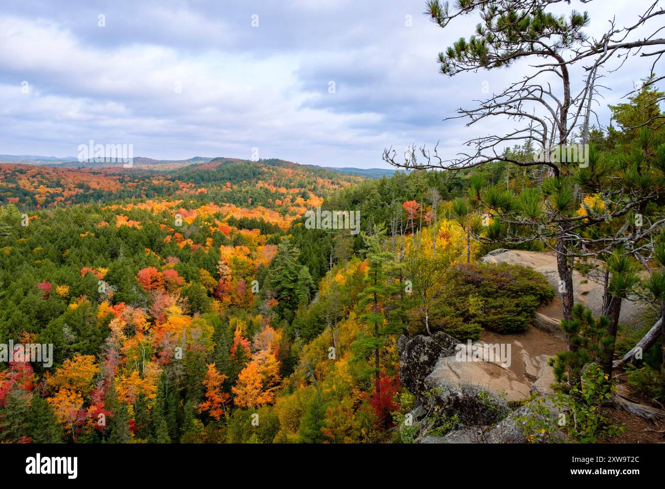 Indian Summer, Panoramablick auf Booth's Rock Trail Lookout, Algonquin Provincial Park Highlands Forest, Herbst, Herbst, Ontario, Kanada Stockfoto