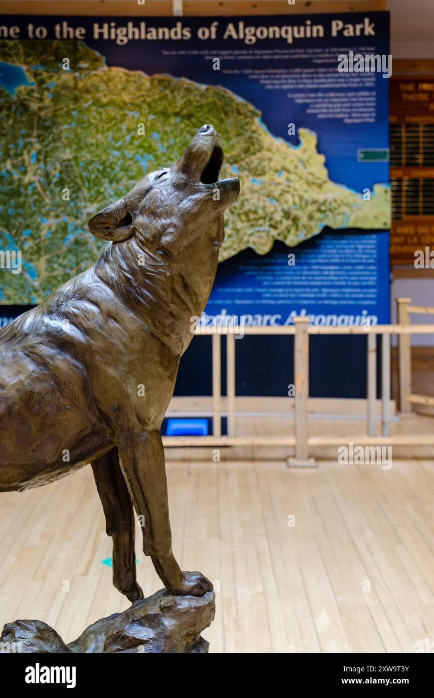 Wolf heulende Statue in der Lobby des Algonquin Provincial Park Visitor Centre, Provinz von Ontario, Kanada Stockfoto