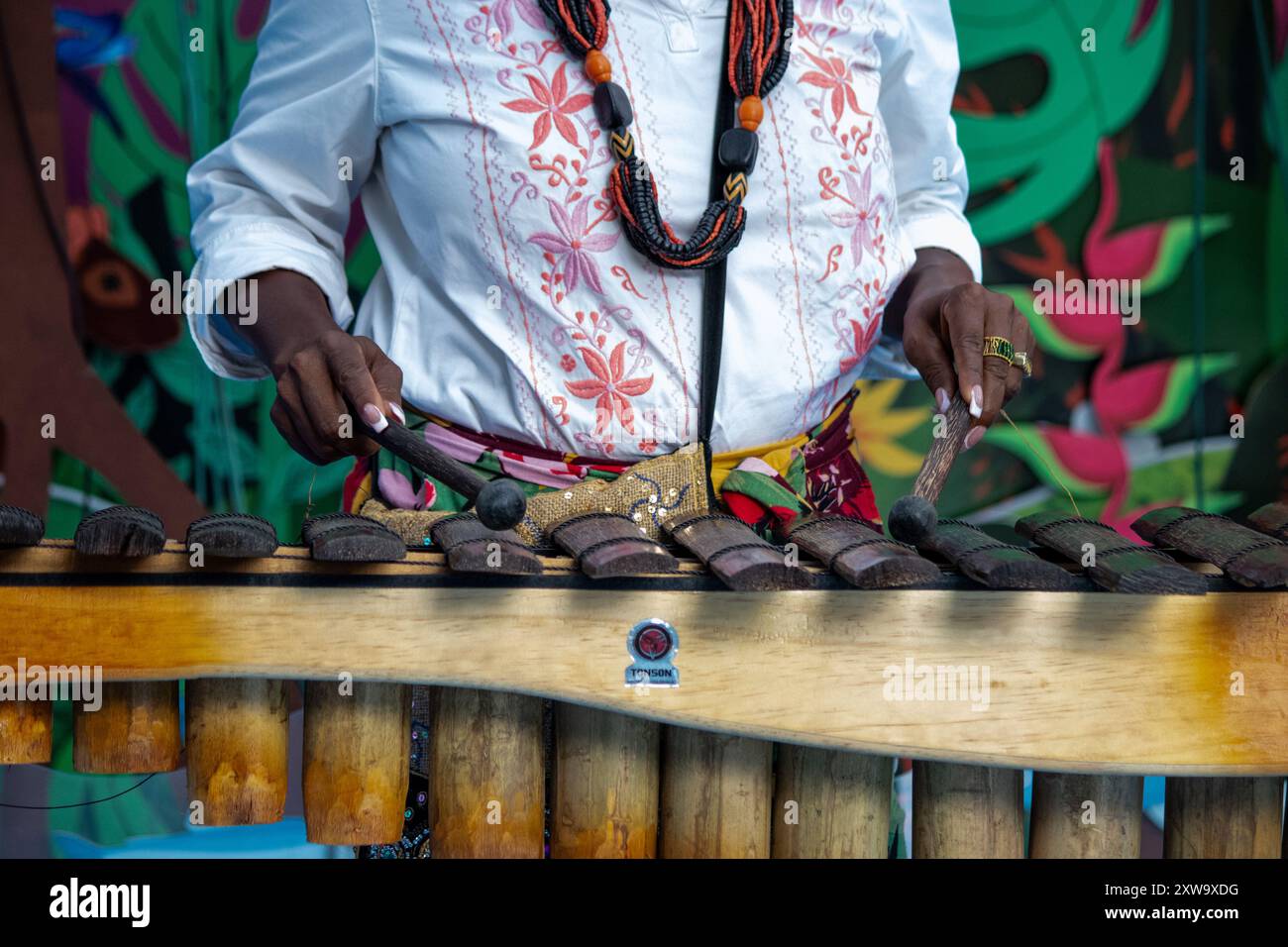 Cali, Kolumbien. August 2024. Tänzer und Musiker nehmen am 16. August 2024 Teil beim Petronio Alvarez Festival in Cali, Kolumbien. Foto: Sebastian Marmolejo/Long Visual Press Credit: Long Visual Press/Alamy Live News Stockfoto