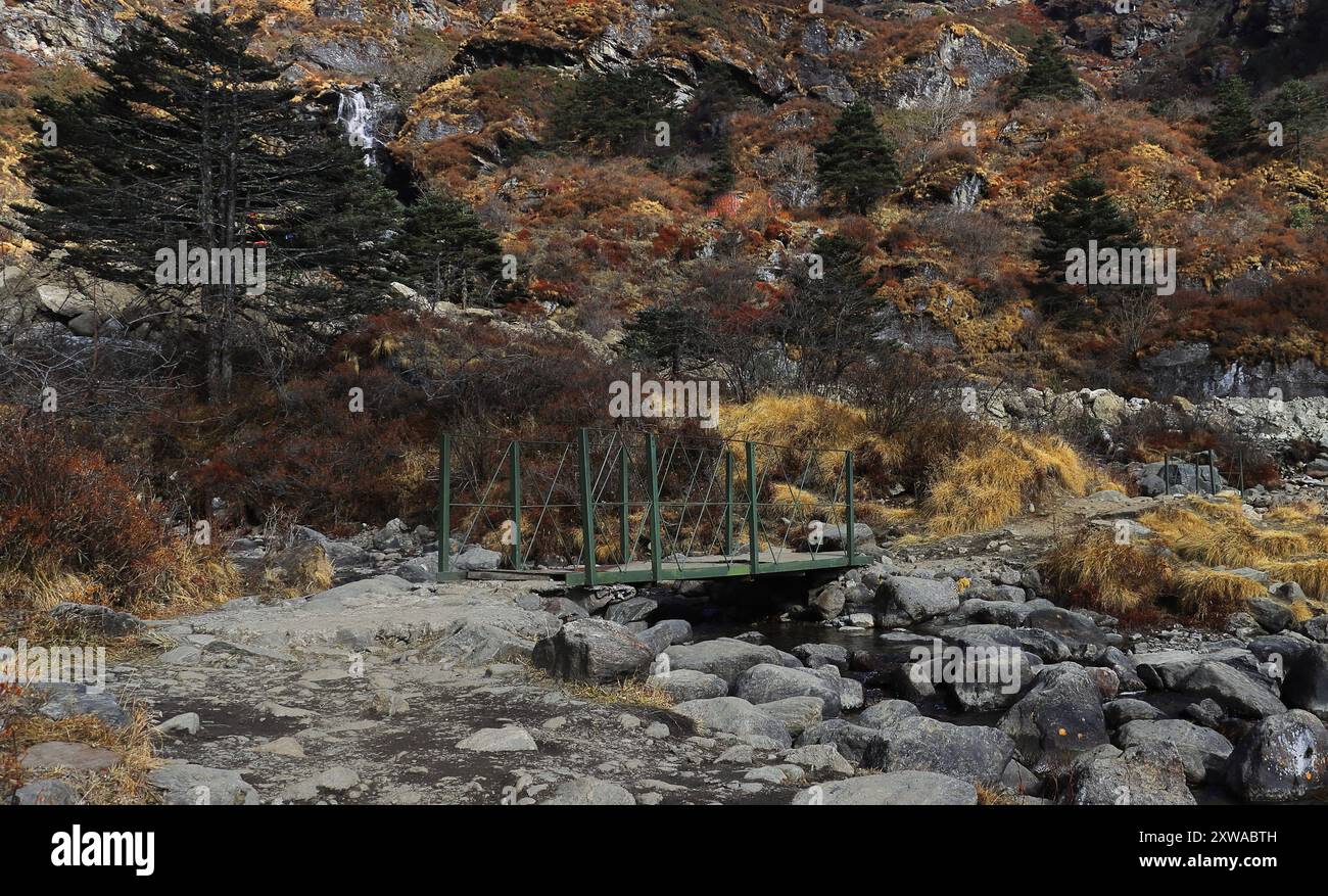Wunderschöner Gebirgsbach, der durch den Alpenwald im Osten von sikkim fließt, Abenteuer durch das abgelegene Hochland des himalaya, indien Stockfoto